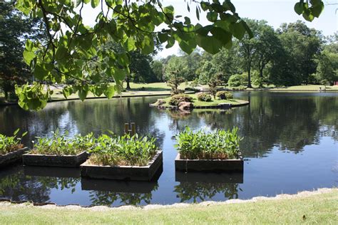 Memphis botanic garden - Join us at the Garden for Pre-K fun this spring! Parents (or grandparents, aunts, uncles, or nannies) accompany their toddler or preschooler (up to age 5) as they share stories, play games, create crafts, and explore the natural world.